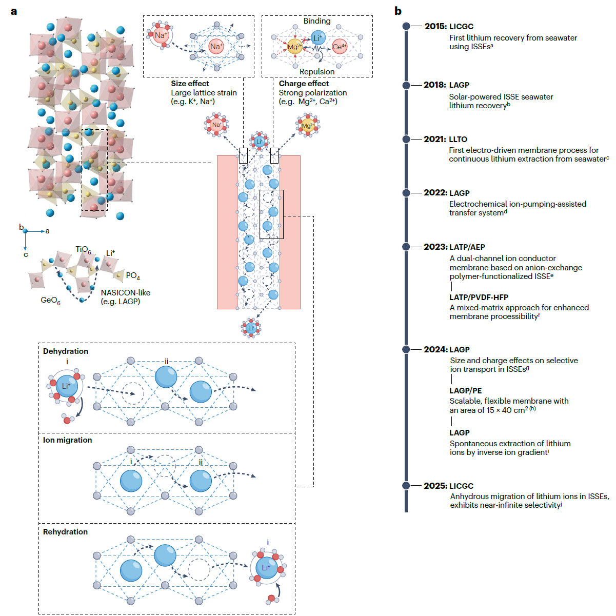 From Batteries to Brines: Inorganic Solid‑State Electrolytes as Lithium‑Selective Membranes